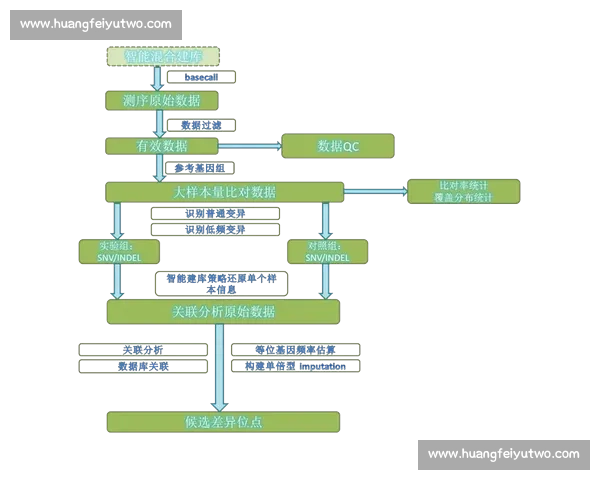 体育数据分析系统学习路径与实践技能提升指南