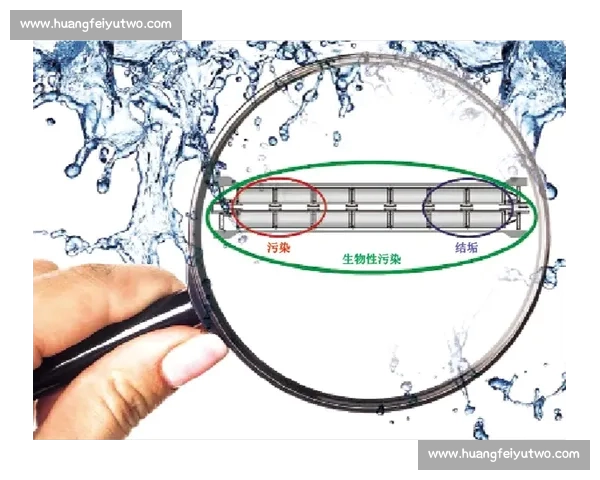 体育平台安全性分析如何保障用户数据和交易安全